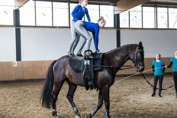 Bild 73 - Voltigierturnier